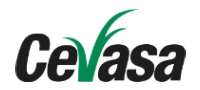 cevasa